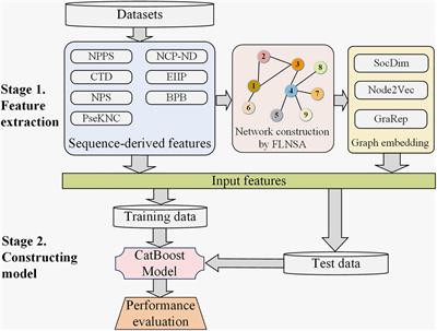 m6AGE: A Predictor for N6-Methyladenosine Sites Identification Utilizing Sequence Characteristics and Graph Embedding-Based Geometrical Information